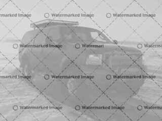 Car-Buying Intentio ...